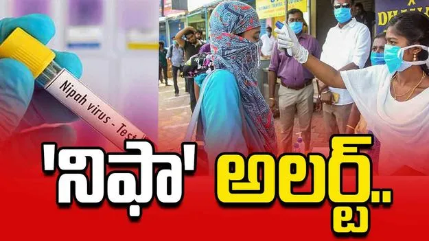 కేరళలో 'నిఫా' కలకలం.. తమిళనాడు అలర్ట్..